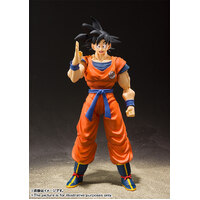 Bandai Tamashii Nations S.H. Figuarts Dragon Ball Z Son Goku A Saiyan Raised on Earth Action Figure