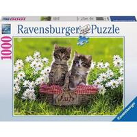 Ravensburger Picnic in the Meadow 1000pc Puzzle