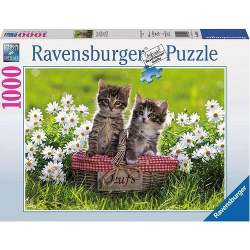 Ravensburger Picnic in the Meadow 1000pc Puzzle
